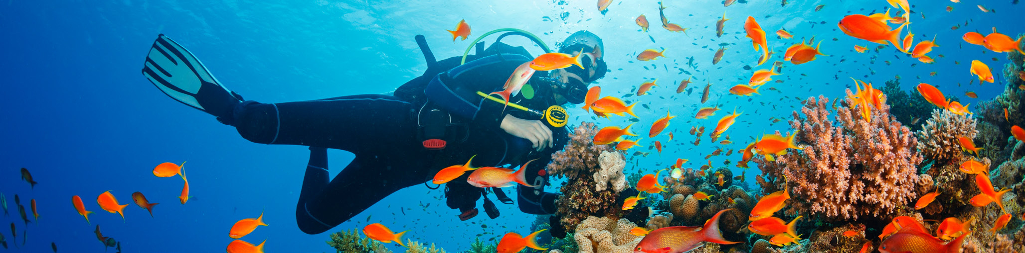 andaman-tour-package