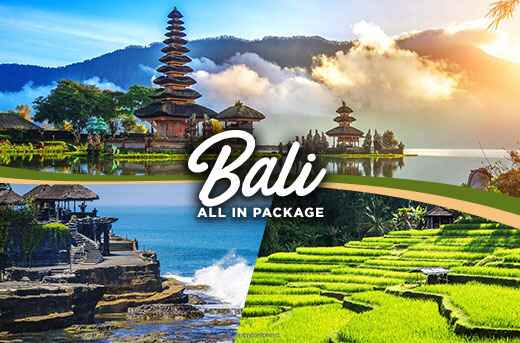 Amazing Bali Tour