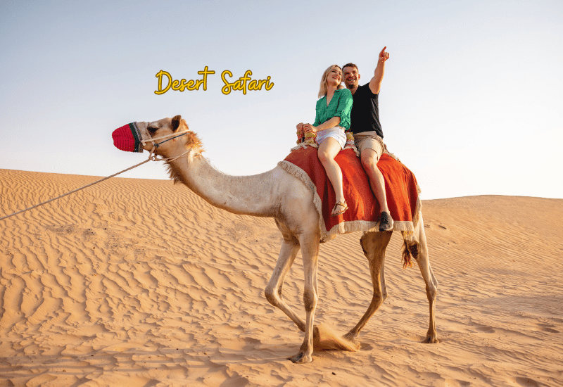 Dubai Luxury Trip with Desert Safari