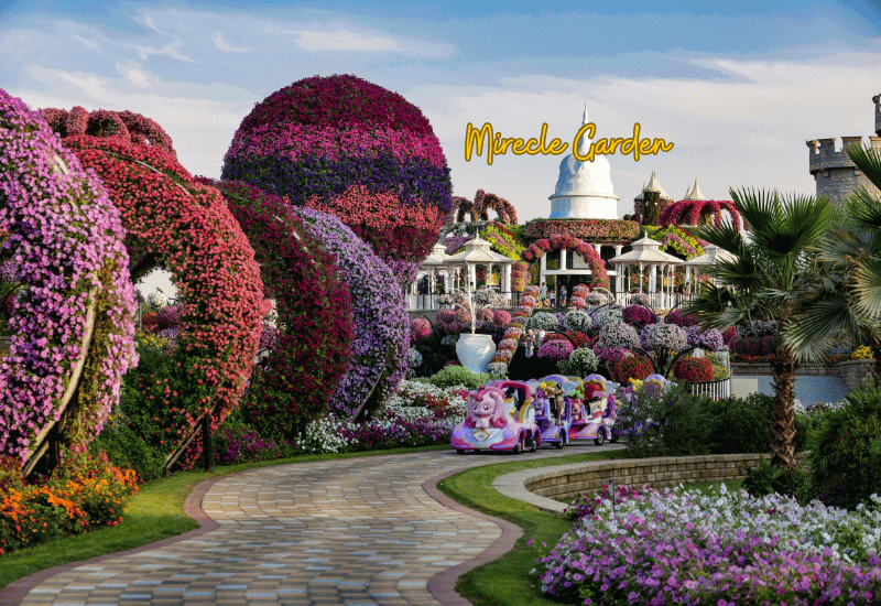 Dubai Miracle Garden