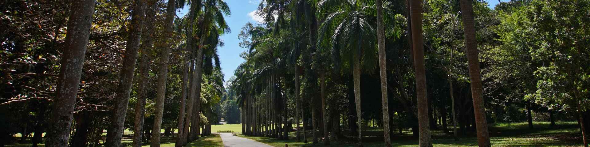 srilanka-sightseeing-package