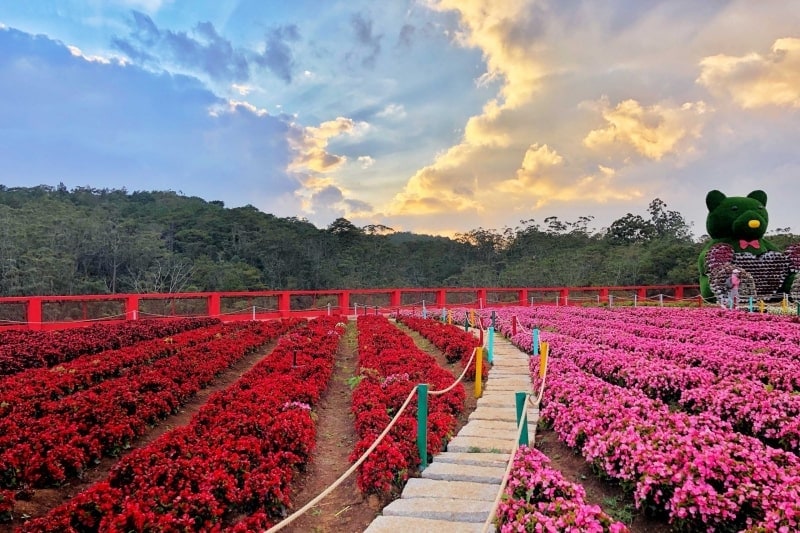 Vietnam Tour Packages
