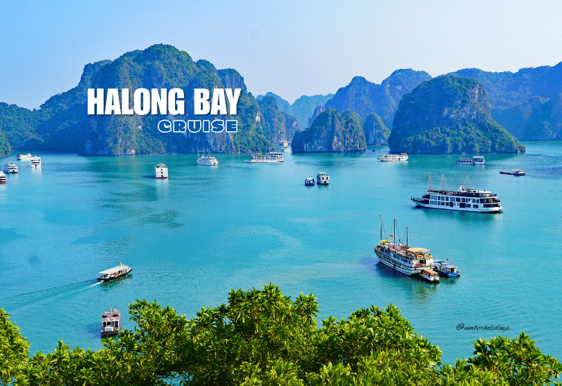 Halong Bay Cruise Vietnam